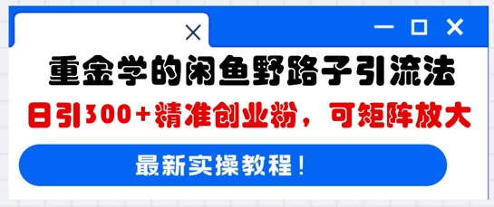 重金学的闲鱼野路子引流法，日引300+精准创业粉，可矩阵放大-青年云网创—高质量项目商城