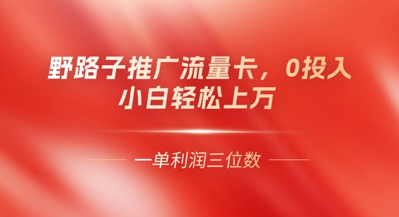 0门槛推广流量卡,一单收益上百,0投入,小白月入过W-青年云网创—高质量项目商城