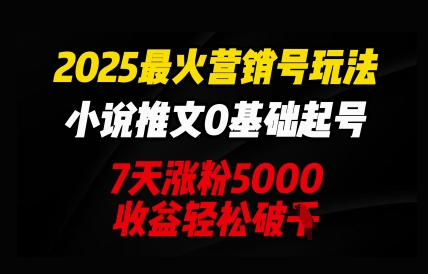2025最火营销号玩法:小说推文0基础起号,7天涨粉5000,收益轻松破k-青年云网创—高质量项目商城